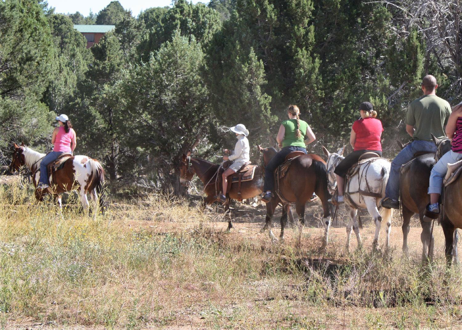 Zion Ponderosa Ranch Resort Springdale Bagian luar foto